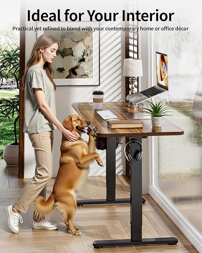 BIZUM Electric Standing Desk 63 x 24 Inch Computer Desk-Gaming Desk Dark Walnut Home Office Desks Height Adjustable Memory Stand Up Computer Workstation