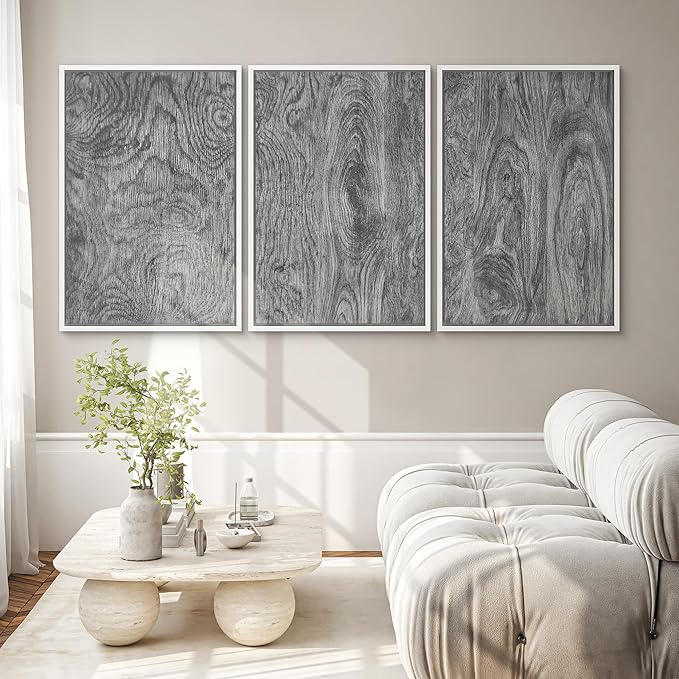 SIGNWIN Framed Canvas Print Wall Art Set Dark Wood Grain Texture Rustic Modern Natural Pattern Illustrations Modern Art Decorative Abstract for Living Room, Bedroom, Office - 16"x24"x3 White