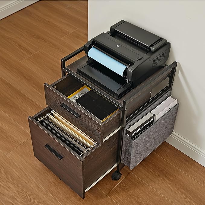 EUREKA ERGONOMIC 2-Drawer Mobile File Cabinet with Wheels, Solid Wood Rolling Storage Cabinet for Home Office, Space-Saving Under Desk Organization with Printer Stand, Black