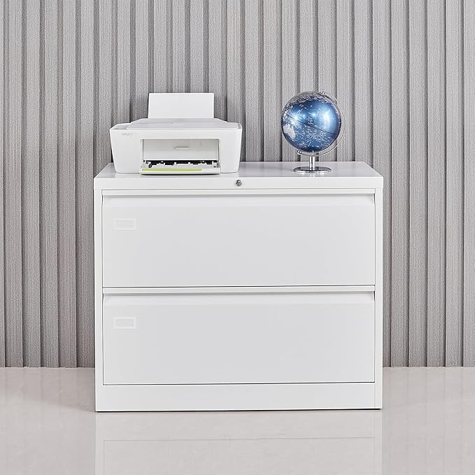 2 Drawer Filing Cabinet, Black Lateral File Cabinet with Lock, Lockable Metal File Cabinet for Home Office, Office File Cabinets for Legal/Letter/A4/F4 Size with Hanging Files&Key (White(2 Drawer))
