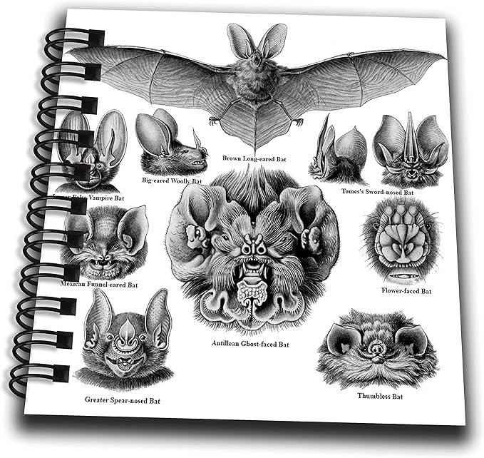 Mini Notepad 4 x 4 inch - Bats Art Print with Name Labels Bat Breed Species Identification Chart Animals
