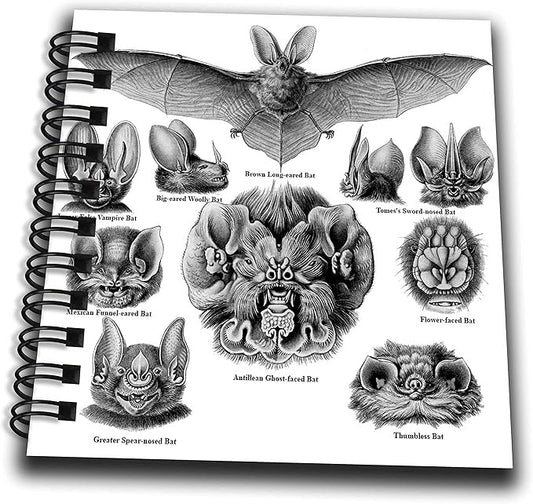 Mini Notepad 4 x 4 inch - Bats Art Print with Name Labels Bat Breed Species Identification Chart Animals