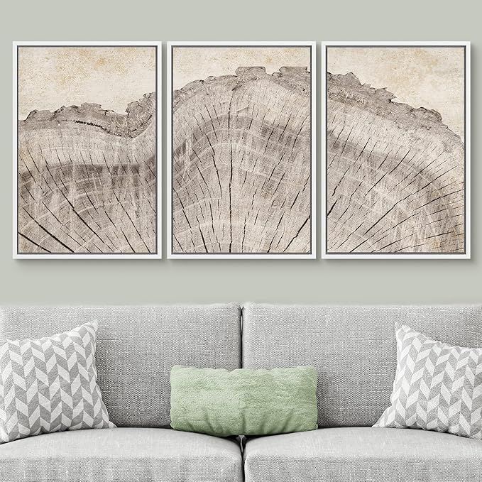 SIGNWIN Framed Canvas Print Wall Art Set Retro Close Up Oak Wood Tree Rings Nature Wilderness Illustrations Modern Art Decorative Farmhouse Zen for Living Room, Bedroom, Office - 16"x24"x3 White