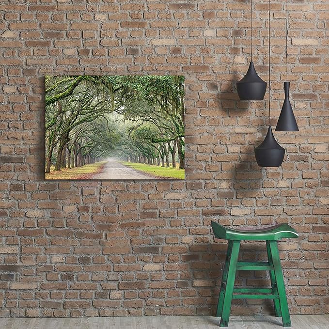 Hardy Gallery Landscape Artwork Pictures Canvas Prints: Spanish Moss Covered Green Oak Trees on Forest Path in Fall Photographic Image for Wall Arts (24" x 18")