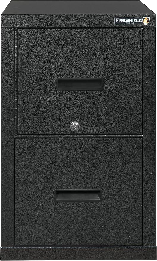 FireKing® FireShield 22" D Vertical 1-Drawer File Cabinet and Safe, Metal, Black Stone