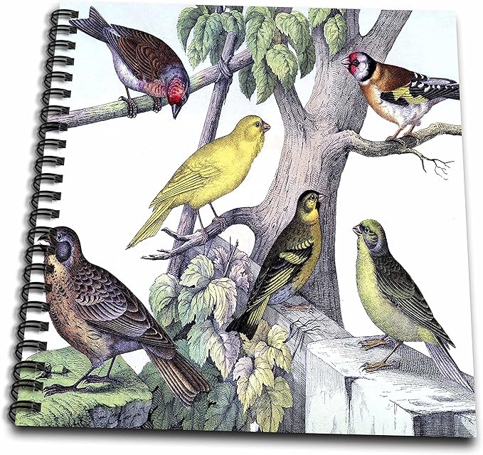 3dRose db_61886_1 1879 Natural History Print of 6 Birds on a Tree-Drawing Book, 8 by 8-Inch