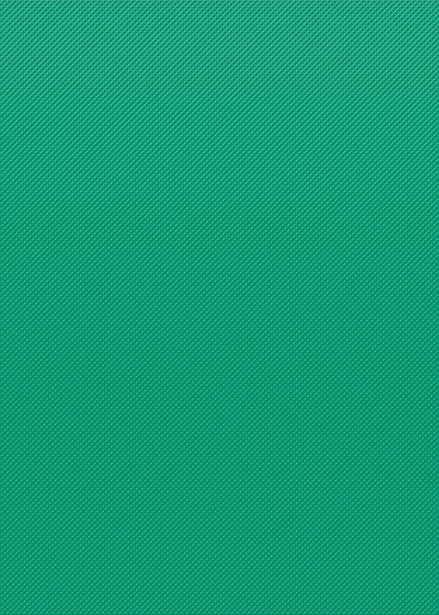Teacher Created Resources Vivid Green Better Than Paper Bulletin Board Roll (TCR77895)