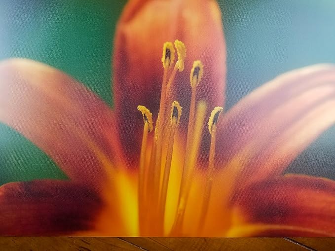 8.5" X 11" Canvas Textured Premium Inkjet Photo Paper - 5 Sheets