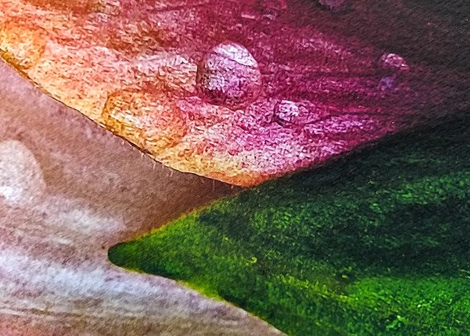 17" X 22" Cold Press Watercolor Fine Art Inkjet Paper - 25 Sheets