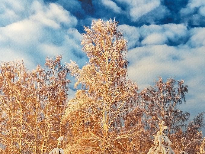 17" X 22" Cold Press Watercolor Fine Art Inkjet Paper - 25 Sheets